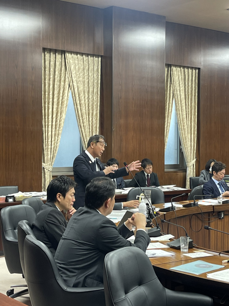 11月17日(金)外務委員会に立って質疑いたしました。