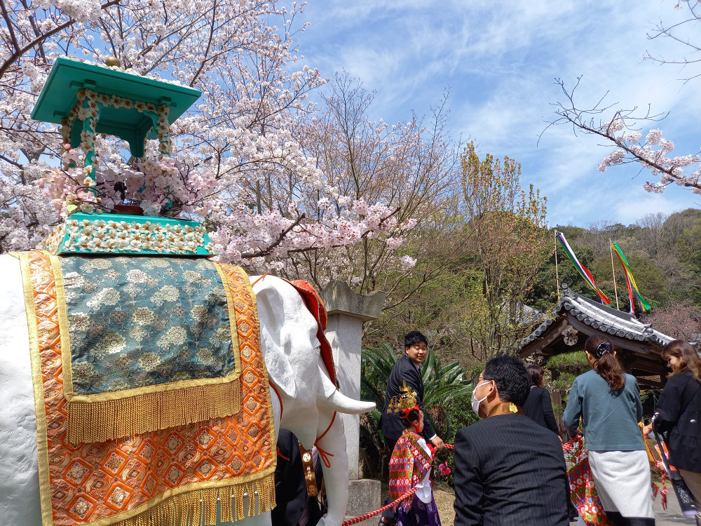 地元の転法輪寺の花祭りにて