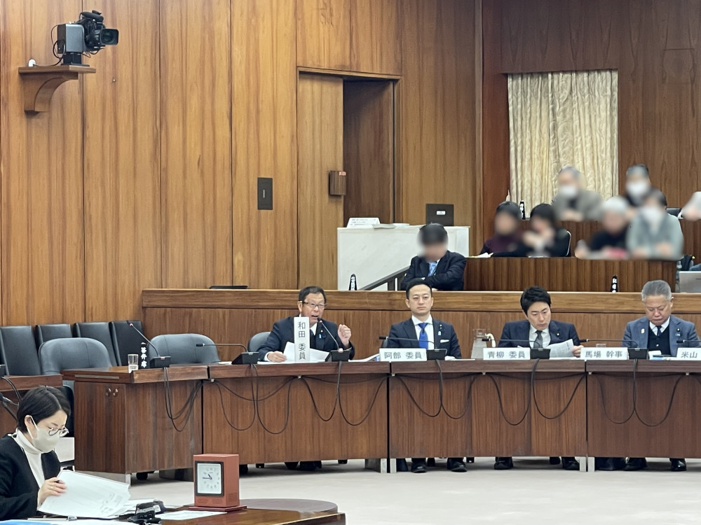 衆議院憲法審査会にて、日本維新の会から質問に立ちました。