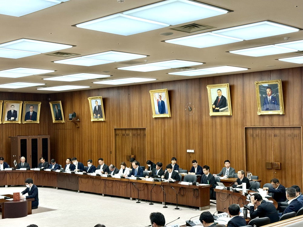 衆議院憲法審査会にて、党を代表して質疑いたしました。