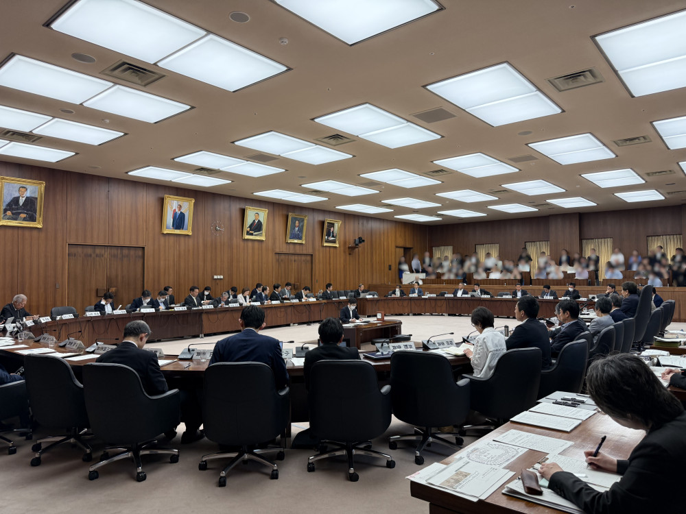 衆議院憲法審査会にて、党を代表して質疑いたしました。