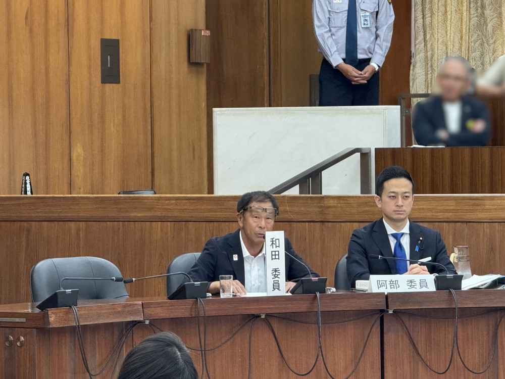 衆議院憲法審査会にて、党を代表して発言いたしました。