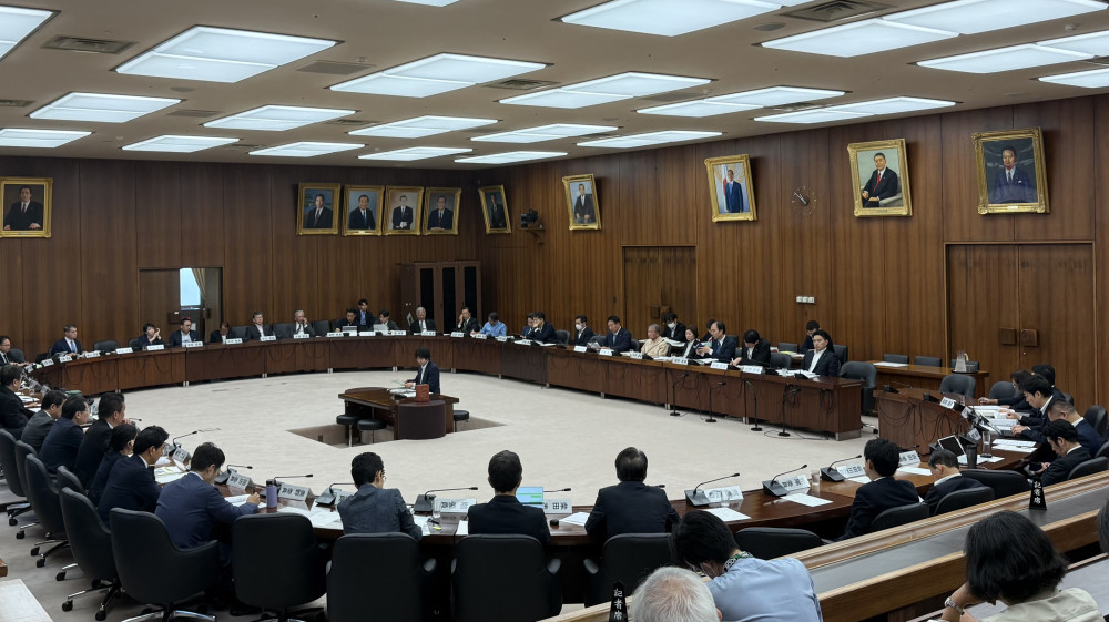 衆議院憲法審査会にて、党を代表して発言いたしました。